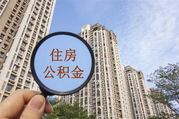 上饶深圳公积金（深圳公积金首页）